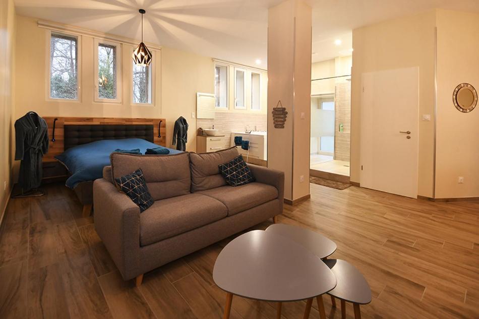 Appartement Loft Detente Страсбург Екстер'єр фото