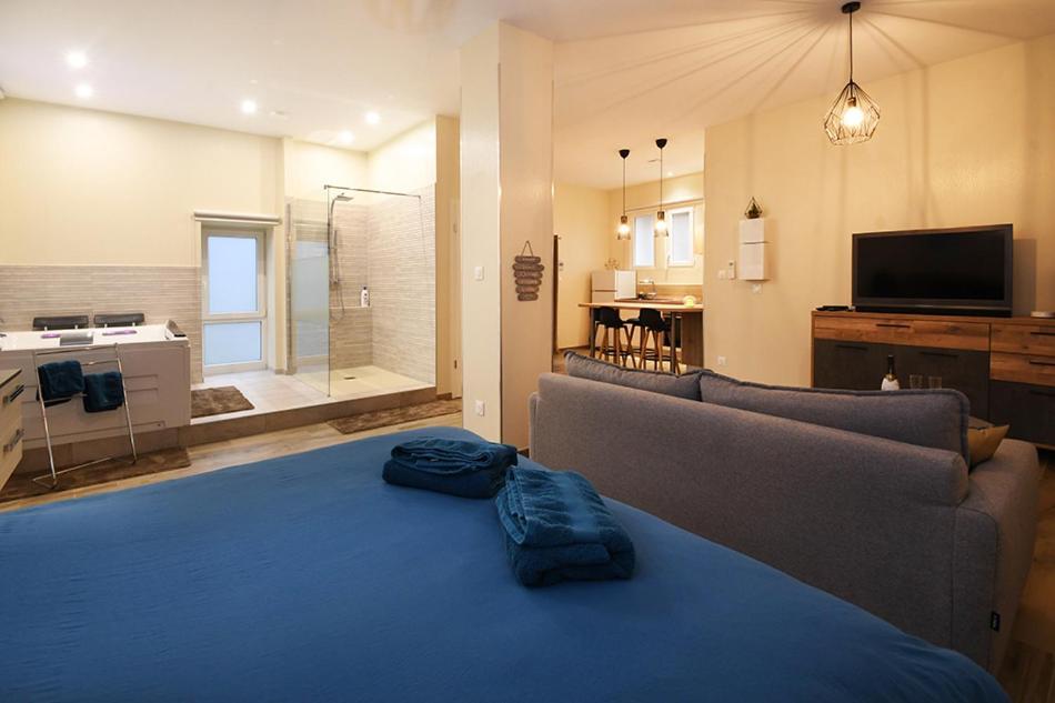 Appartement Loft Detente Страсбург Екстер'єр фото